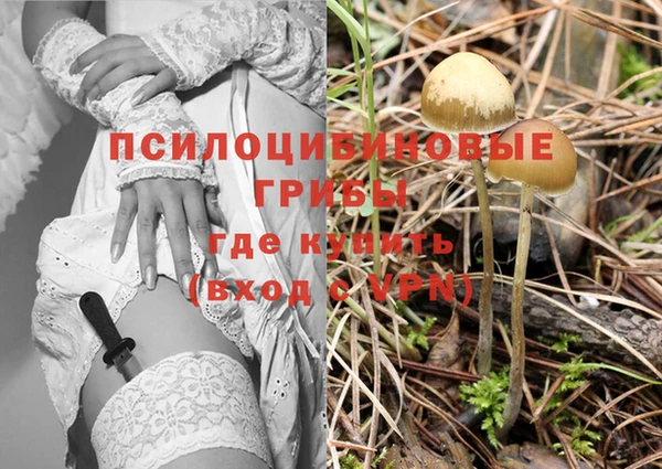 спайс Аркадак