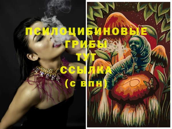хмурый Армянск