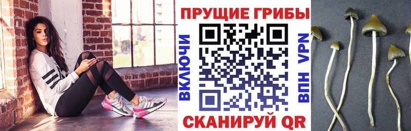 где продают наркотики  Невинномысск  Псилоцибиновые грибы мухоморы 