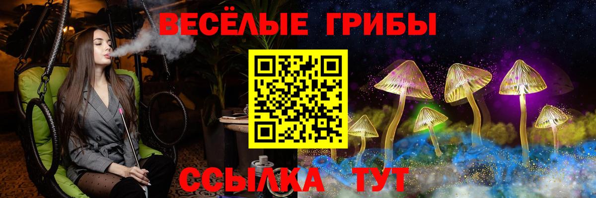 Псилоцибиновые грибы мицелий Невинномысск